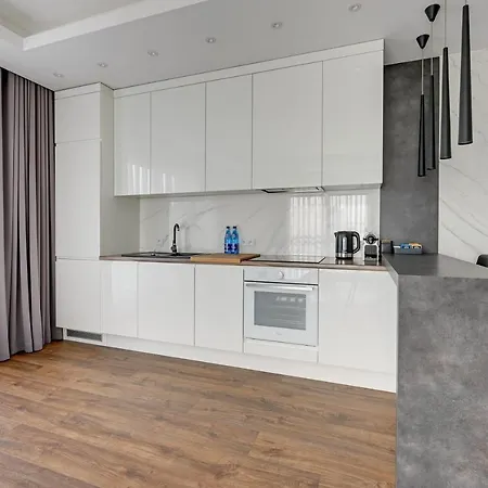 Downtown River View Danzig